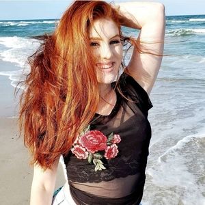 Haute Fox Sheer Embroidered Top